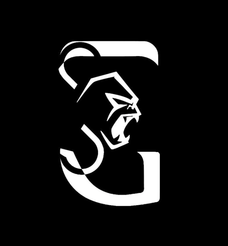 Silver Gorilla logo